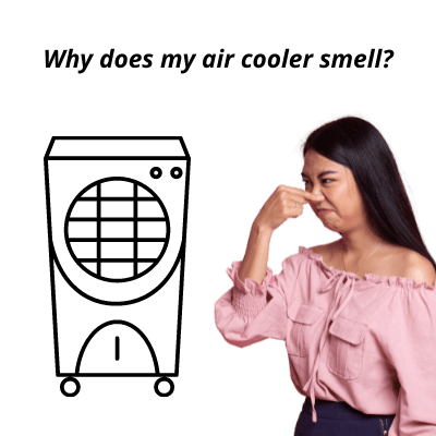 Why does my air cooler smell?